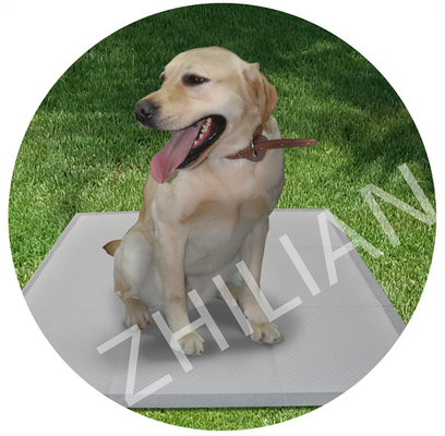 Pet Training Pad Manufacturing Machine 300 m / min